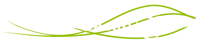 Dashboard The Cacao Tree logo
